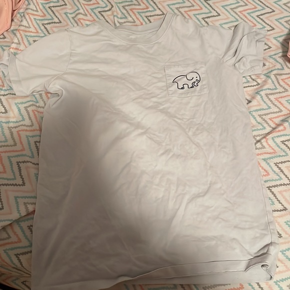 light blue grayish ivory ella t shirt - Picture 2 of 2